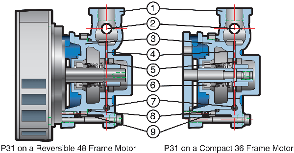 P31 Sectional