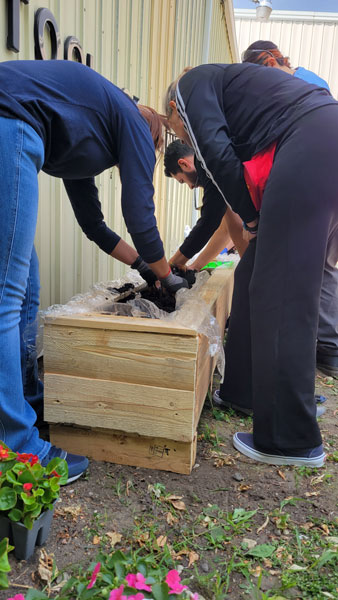 Re-purposing shipping crates into raised flowerbeds